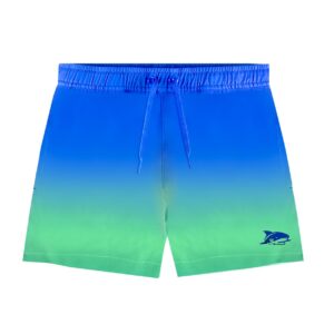 2T to 10 Years Boys Stretchy Swim Trunks Elastic Boardshort Bathing Suits Swim Shorts with Pockets